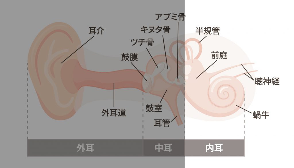 イヤホン ストア 耳 詰まる